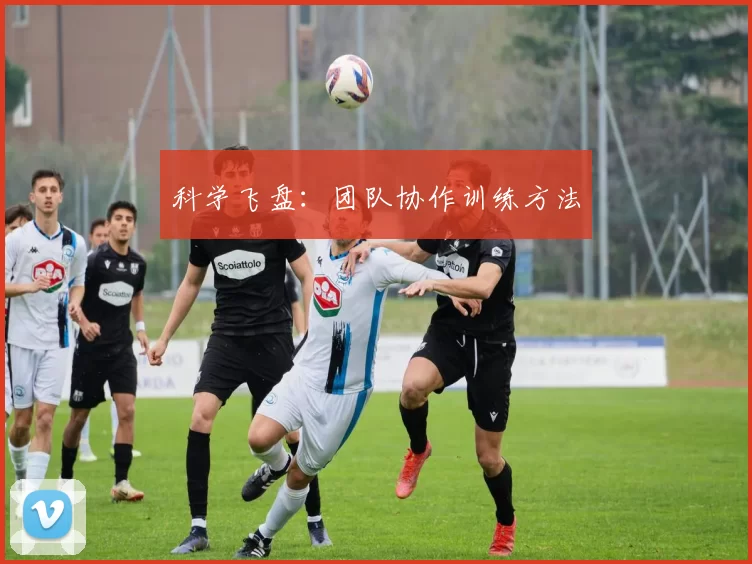 科学飞盘：团队协作训练方法