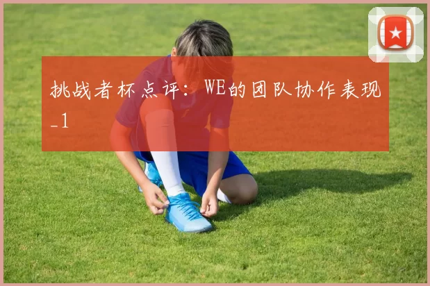 挑战者杯点评：WE的团队协作表现_1