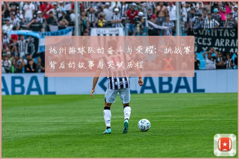 杭州排球队的奋斗与荣耀：挑战赛背后的故事与突破历程