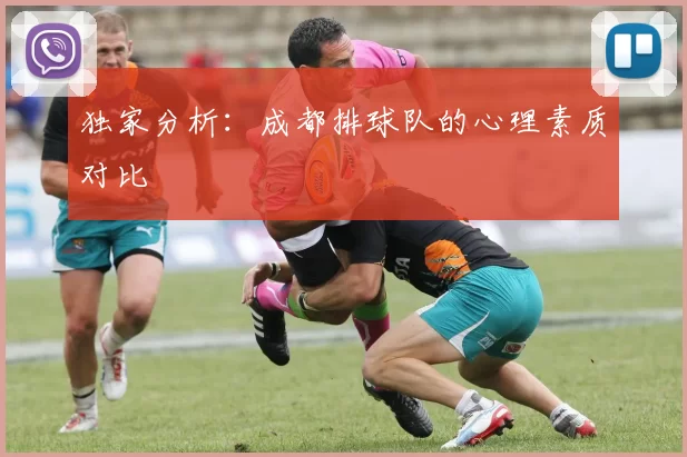 独家分析：成都排球队的心理素质对比