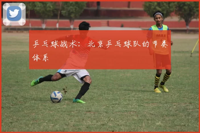 乒乓球战术：北京乒乓球队的节奏体系