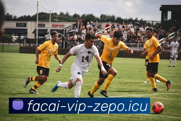 乐鱼体育发展历程